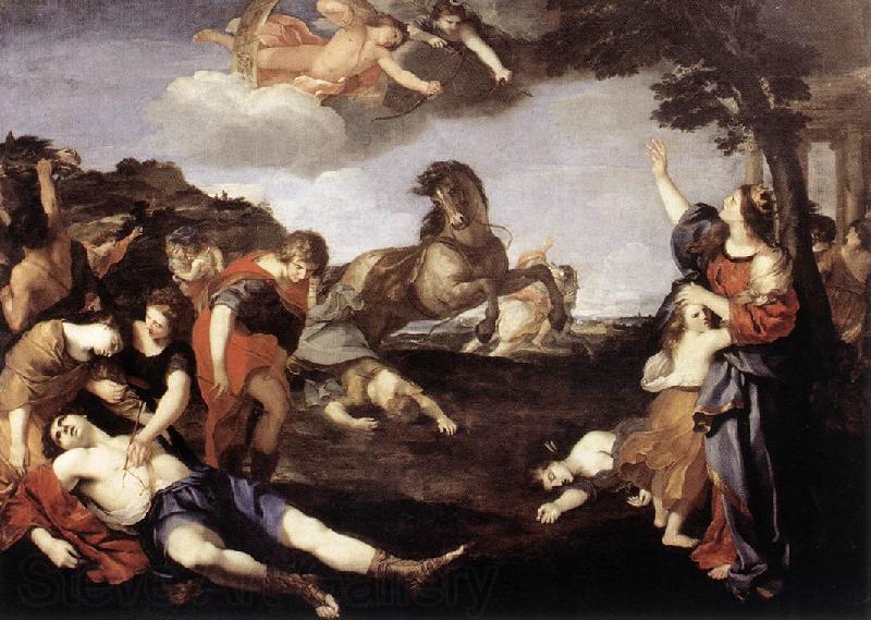 CAMASSEI, Andrea The Massacre of the Niobids dfg France oil painting art